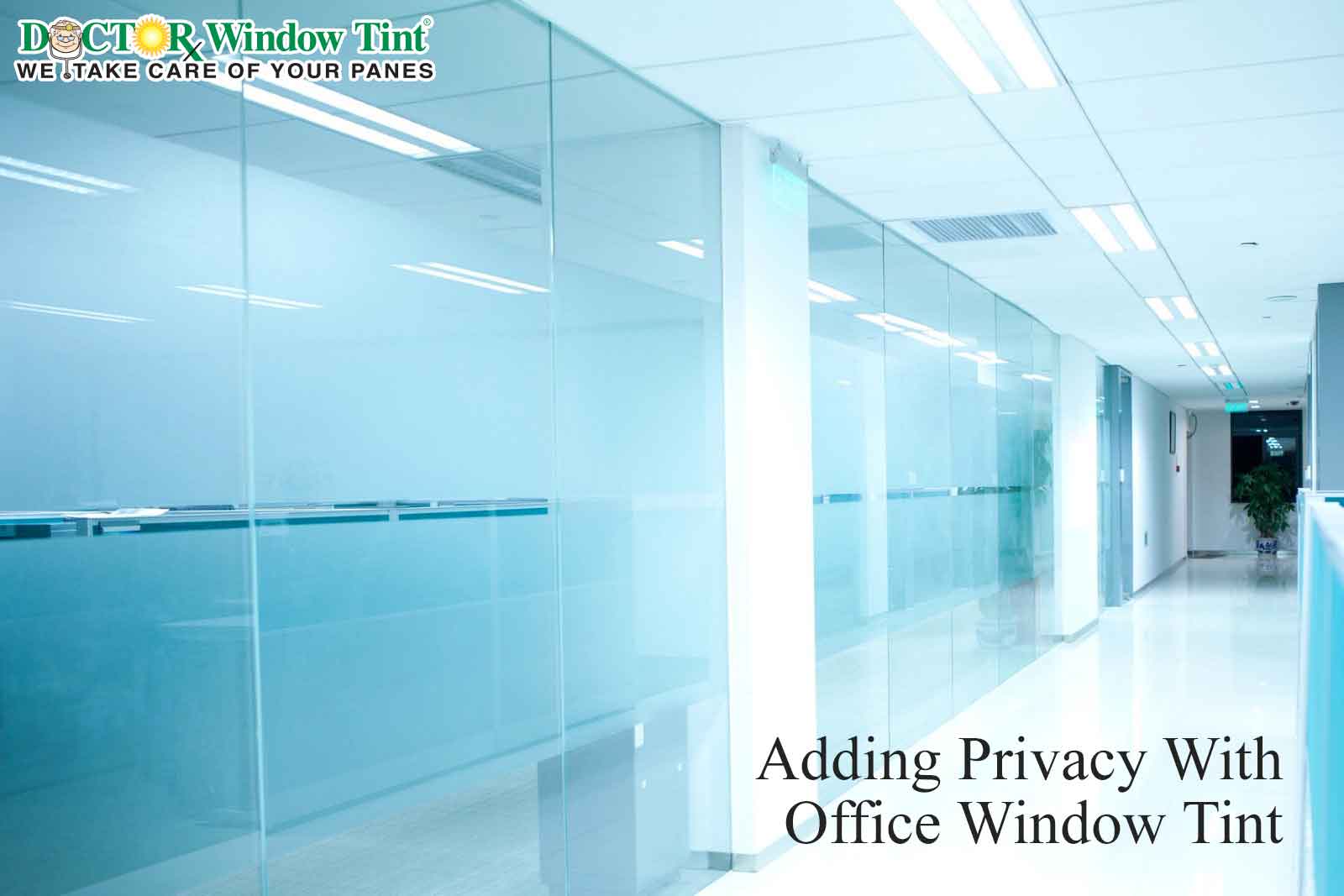 How To Protect Your Business With Office Window Tint